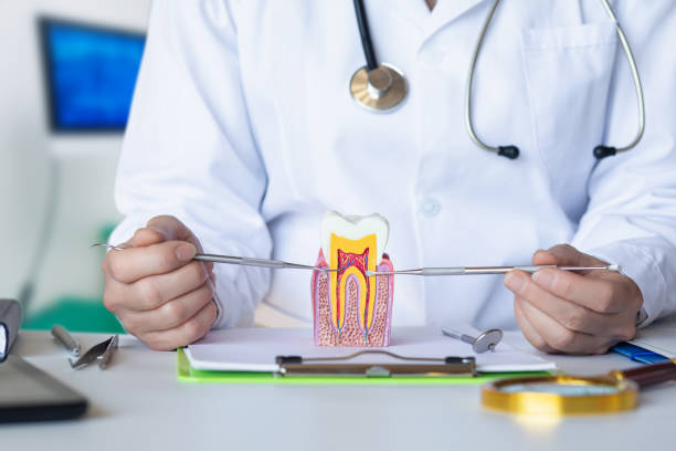 Best Emergency Gum Treatment in Trenton, GA